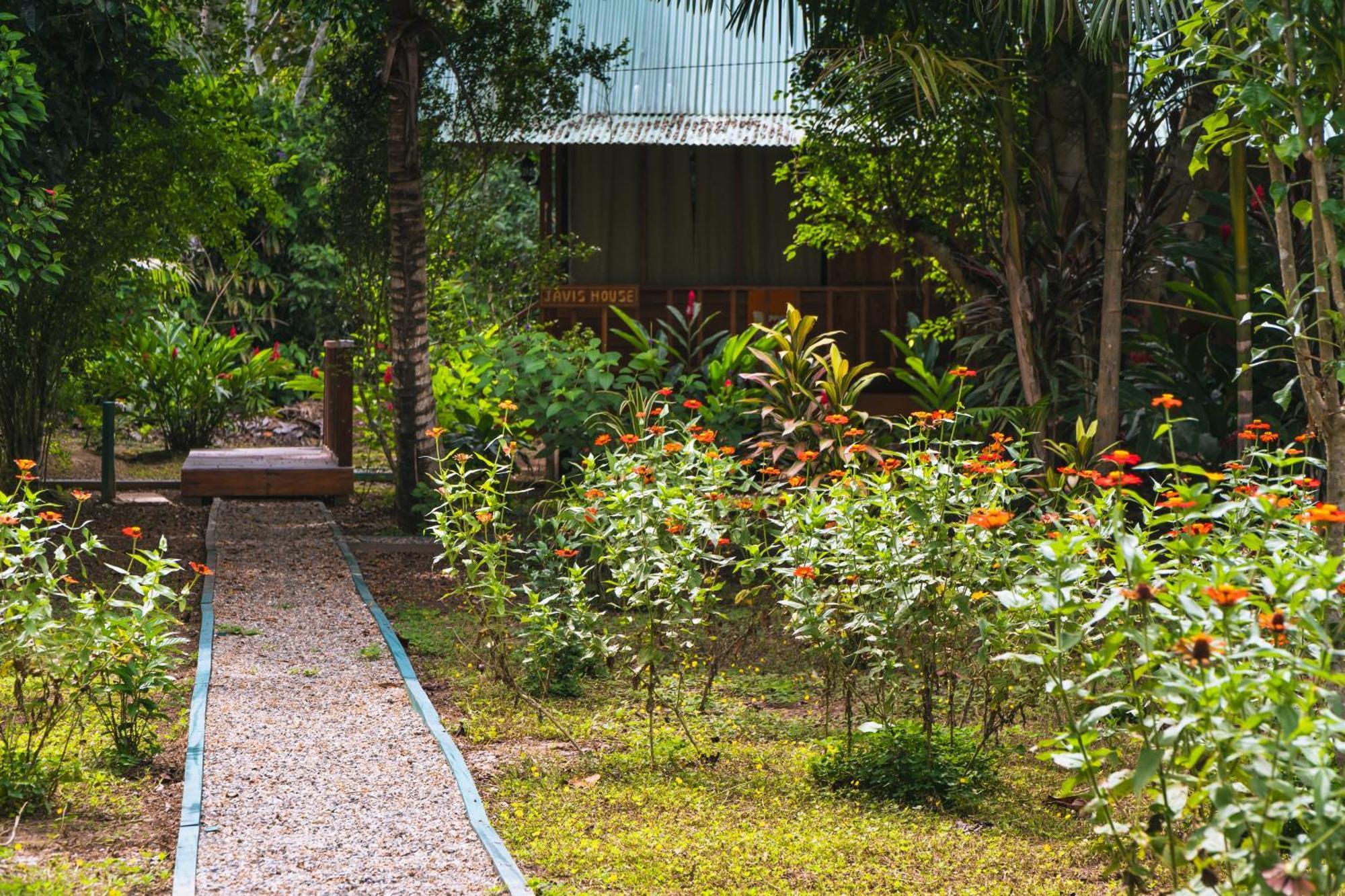 Passiflora Camp Guest House Puerto Maldonado Exterior foto